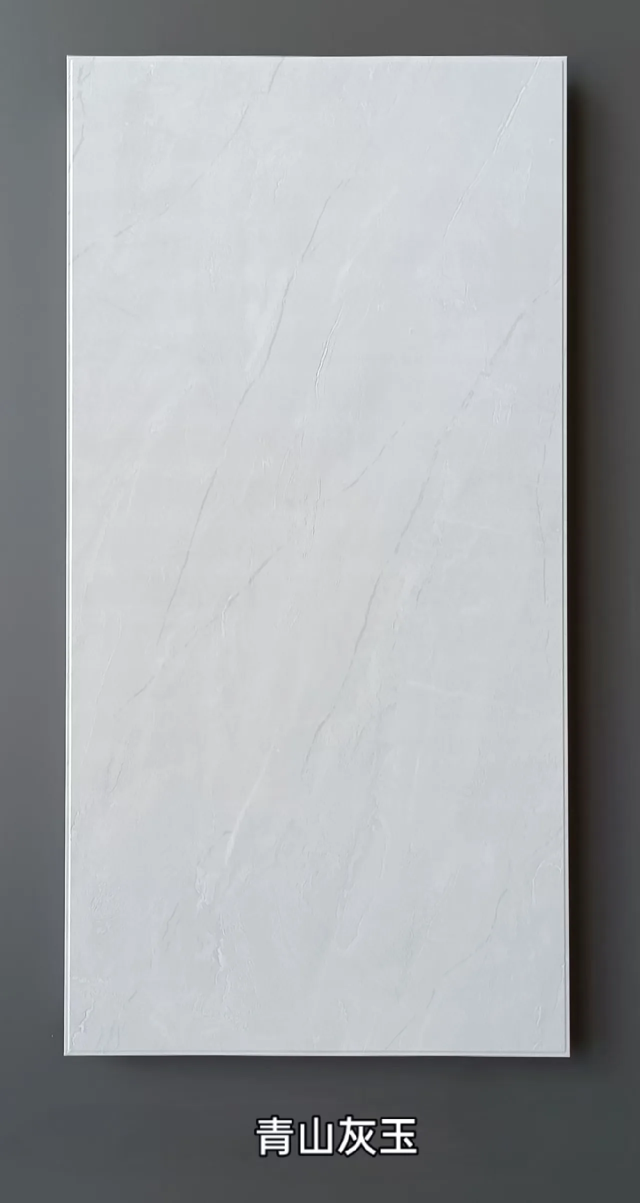 Ceiling Panels 003