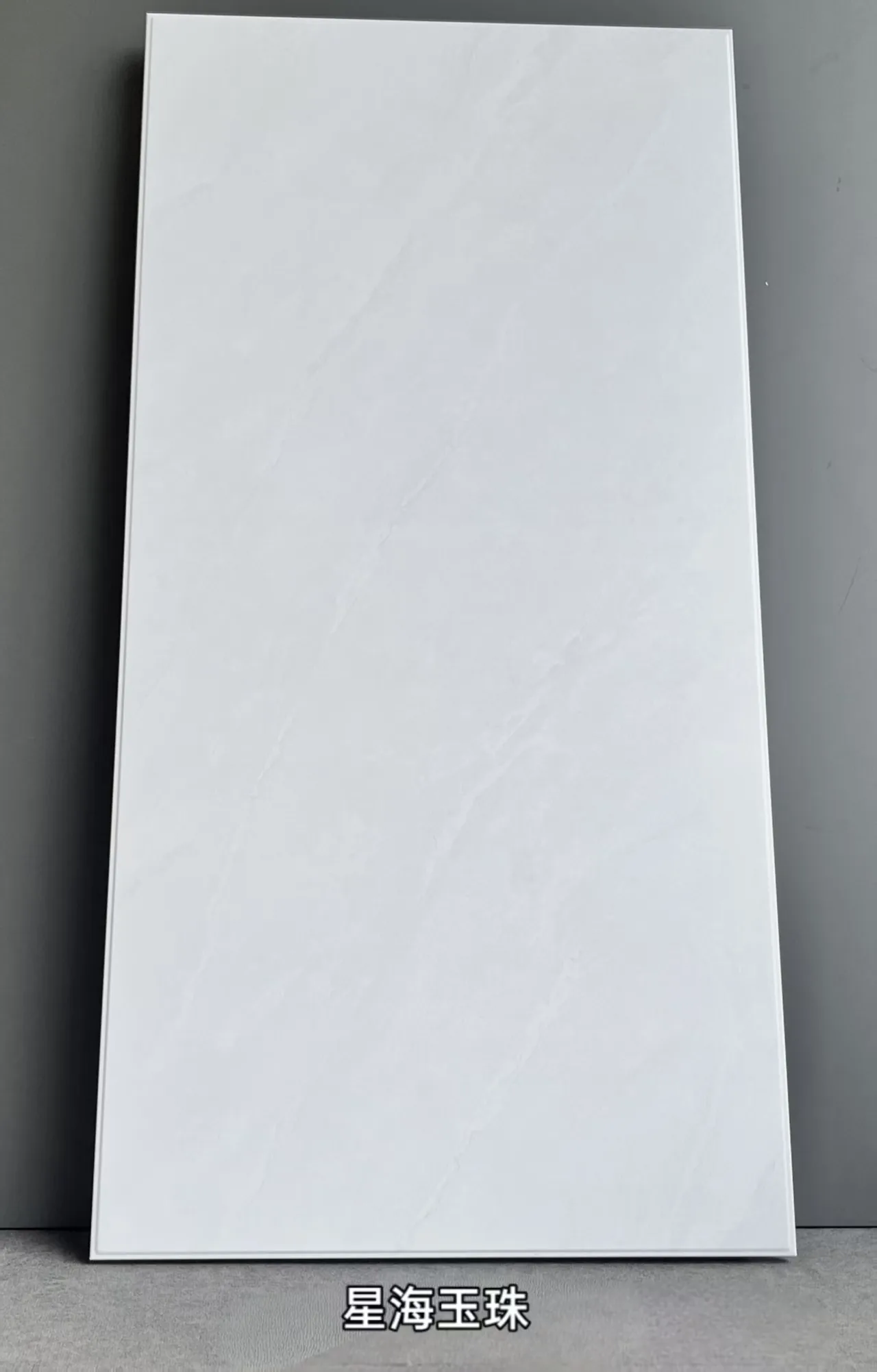 Ceiling Panels 004