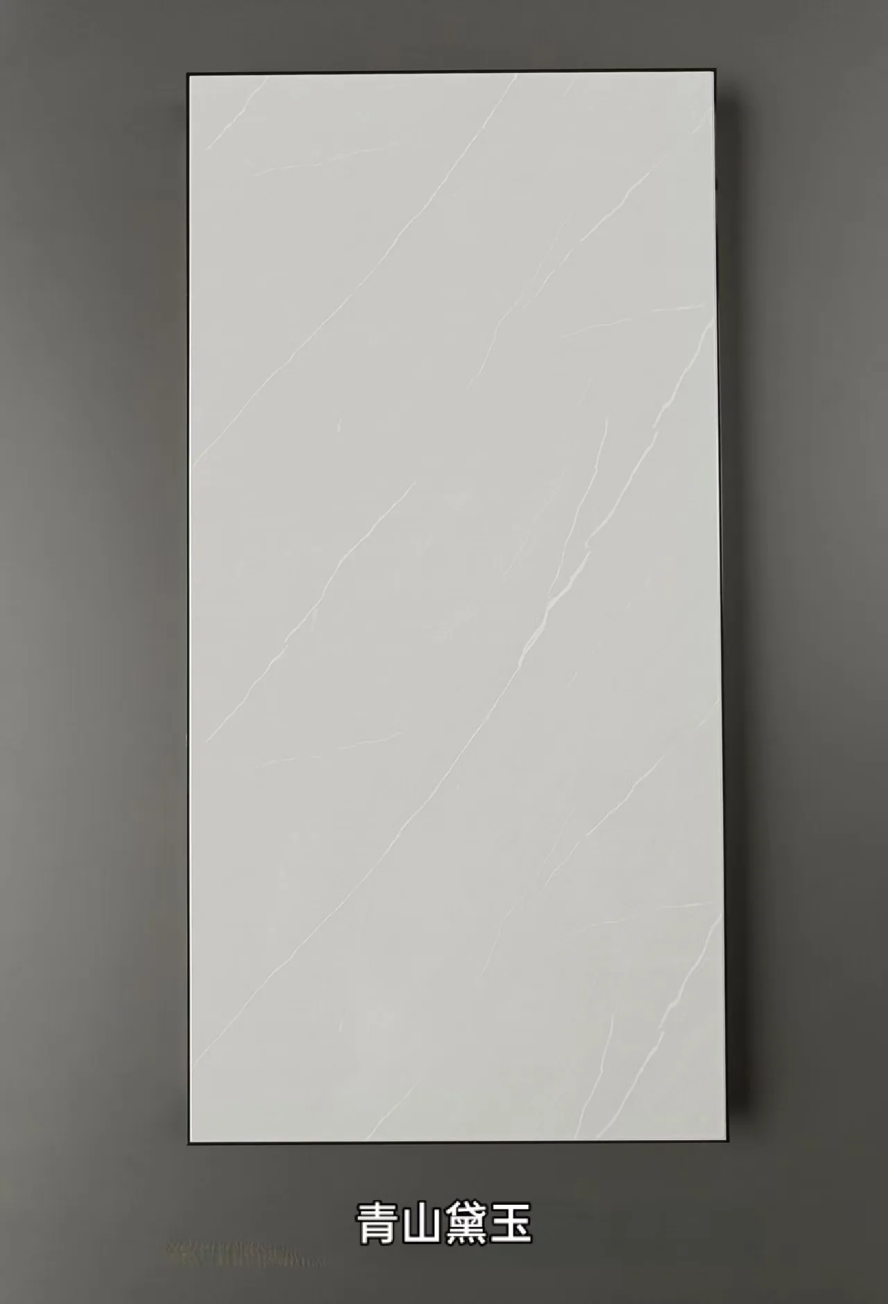 Ceiling Panels 006
