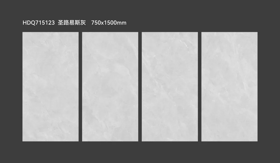 Living Dining Room Floor Tiles 008